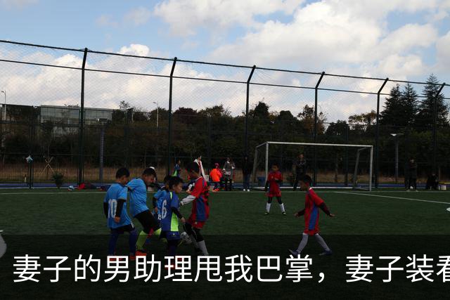 妻子的男助理甩我巴掌，妻子装看不见。5分钟后她公司破产了