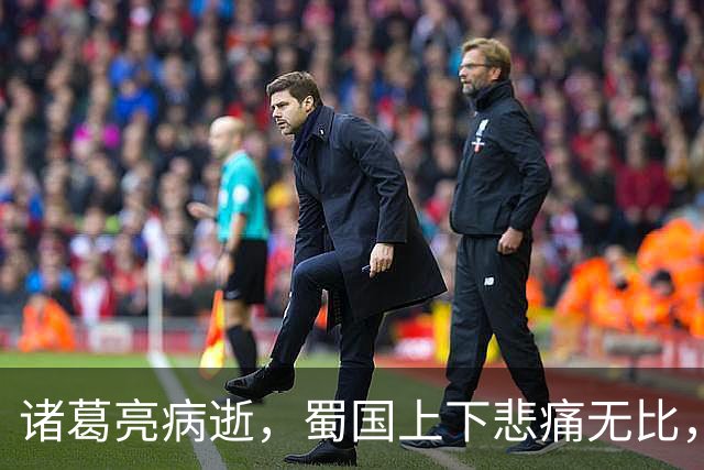 诸葛亮病逝，蜀国上下悲痛无比，唯有一人仰天大笑：苍天有眼！